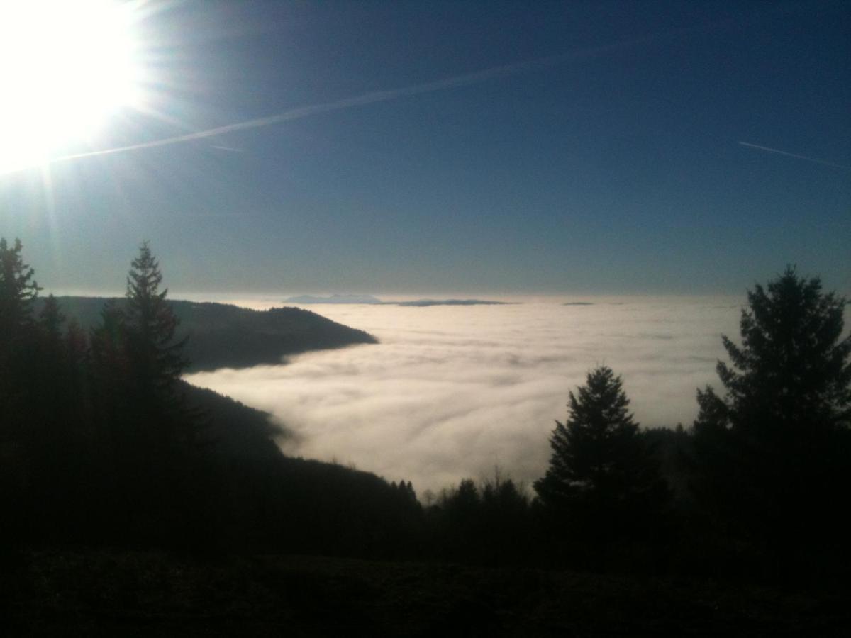 Les Gites De La Serva - Champ Du Feu - Montagnes- Vosges Belmont  Ngoại thất bức ảnh